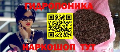 2c-b Заводоуковск