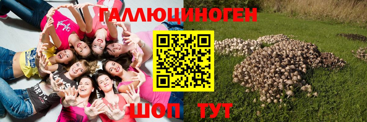 Псилоцибиновые грибы Psilocybine cubensis  Вход с VPN  Галлюциногенные грибы Cubensis  где продают   Нефтекумск 